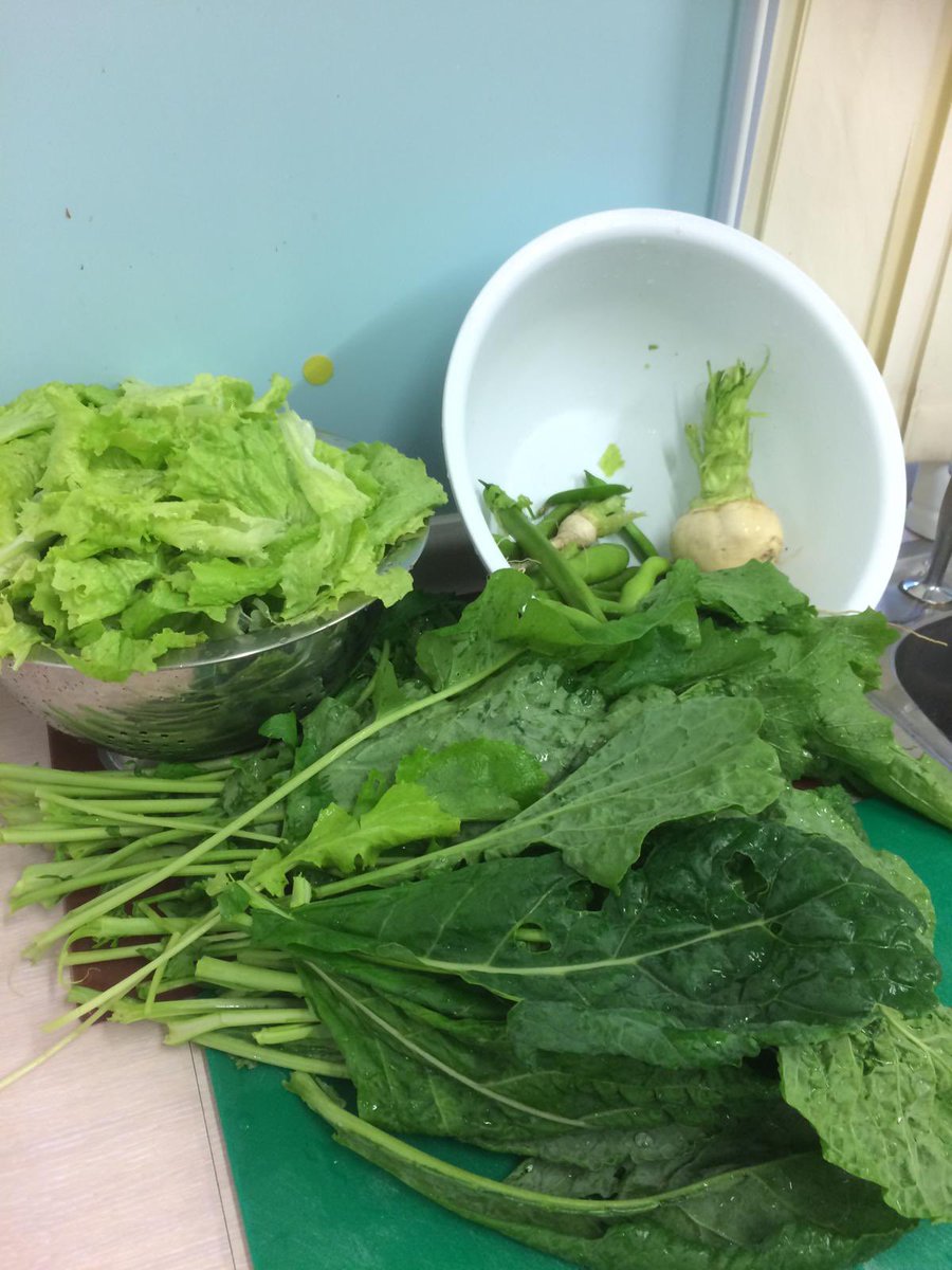Emma🏳️🌈 (@emmagfunk) on Twitter photo Little check on the Wentworth garden & some more homegrown food for lunch 😍 <a href="/GMMH_NHS/">Greater Manchester Mental Health</a> @stephenclarke17 Little check on the Wentworth garden & some more homegrown food for lunch 😍 <a href="/GMMH_NHS/">Greater Manchester Mental Health</a> @stephenclarke17