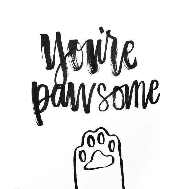 Wishing all Fur-Parents a great weekend!