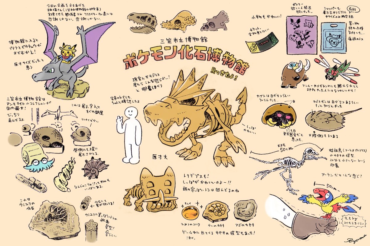 タグ ポケモン化石博物館 の注目ツイート メガとんトラック