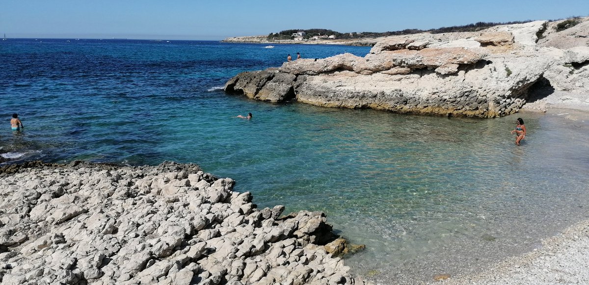 Magali Michel 🍊📱🌐 🌍 tweet media