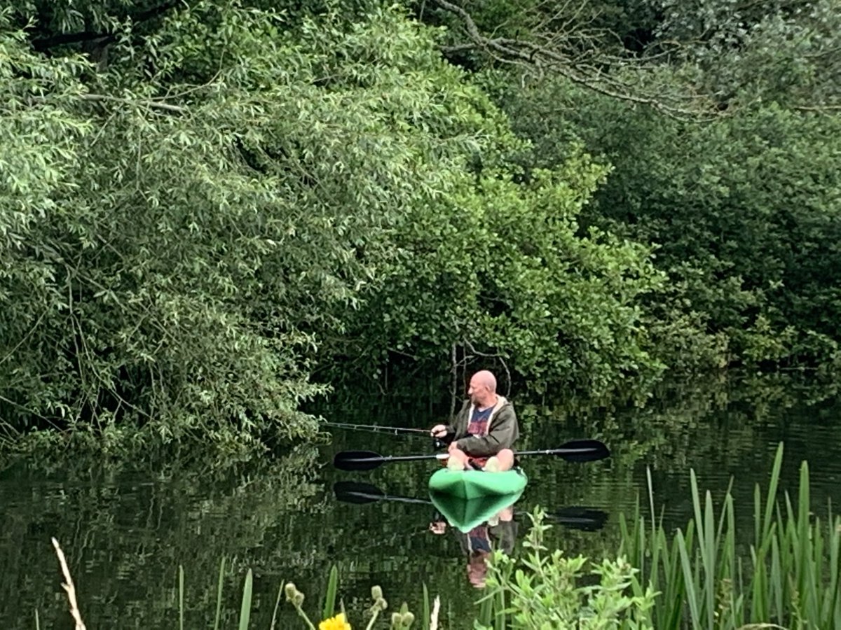 Ronan Fenton tweet media