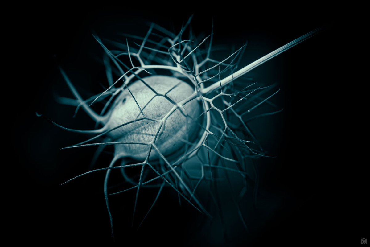 Regis CHUPIN (@chupinregis) on Twitter photo 