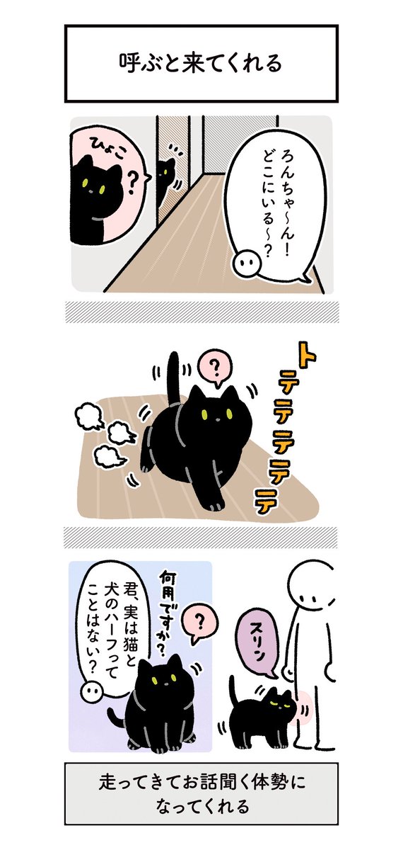 ちょっといぬっぽいねこの絵日記
#ろんの絵日記 