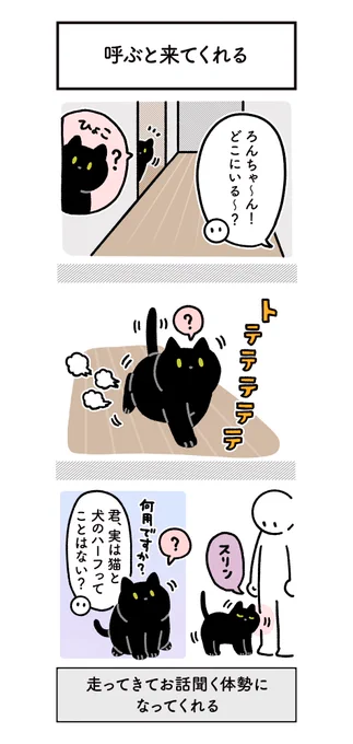 ちょっといぬっぽいねこの絵日記
#ろんの絵日記 