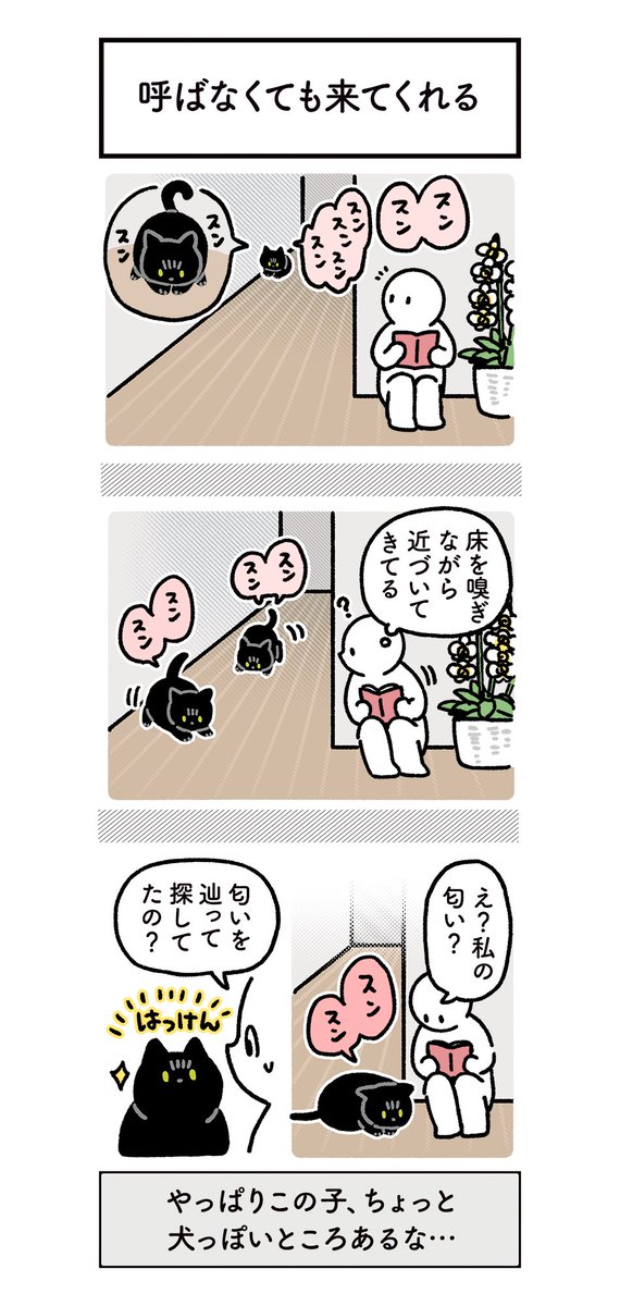 ちょっといぬっぽいねこの絵日記
#ろんの絵日記 