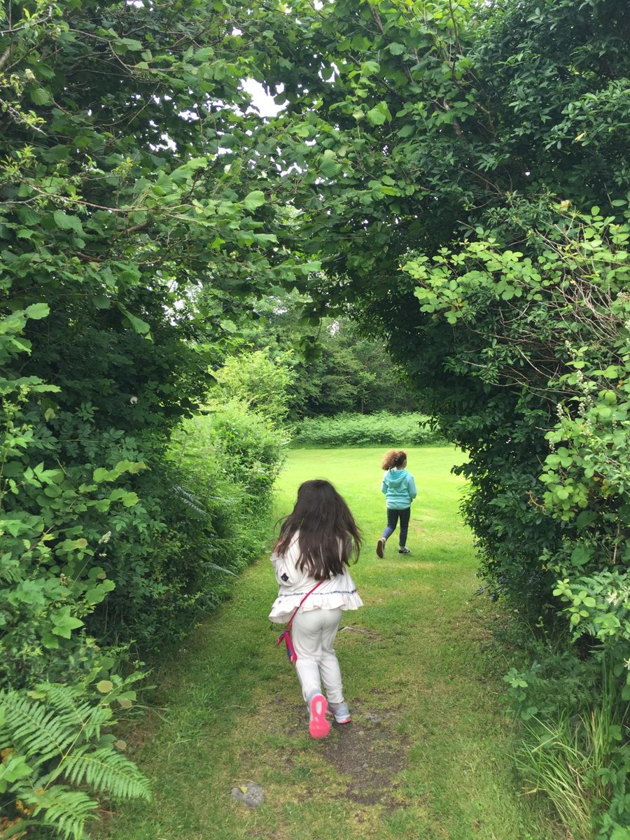 OgrasOgras's tweet photo. Lá amuigh faoin aer chun deireadh a chur le Campa Samhraidh iontach ag Gaelscoil Mhic Amhlaigh. A beautiful day in the great outdoors to bring our GSMA Ógras Camp to an end. GRMA! @ForasnaGaeilge #Ogras #AnGhaeilge @RTERnaG @TG4TV @Galwaybayfmnews #campaisamhraidh #summercamps https://t.co/1XNAJxKD2x