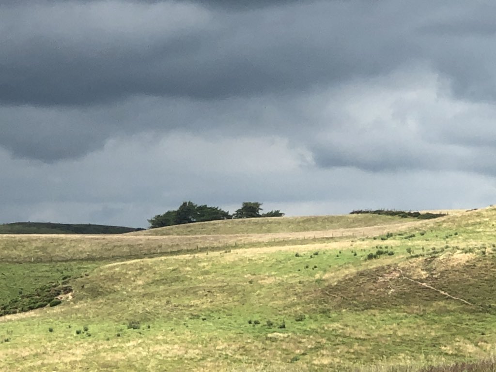 MarianSpain's tweet photo. Celebrating the 50th birthday of @OffasDykePath with @NaturalEngland @NatResWales @RamblersGB and artists who captured the @NationalTrails in pictures and poetry(and Bracken the Dog) #Greatendtotheweek https://t.co/IP4fYBoxs4