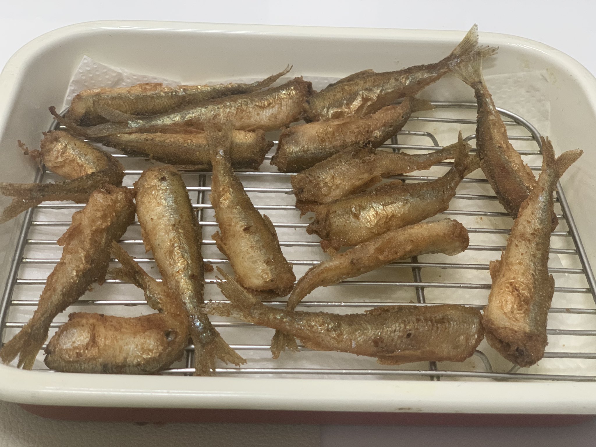Kento 雨の日にサビキ釣り 最初全然釣れなかったけど 途中から入れ食い ラッシュモードに入り 52匹の釣果 唐揚げが美味いい 室蘭 チカ釣り T Co Oo48ioxnnl Twitter