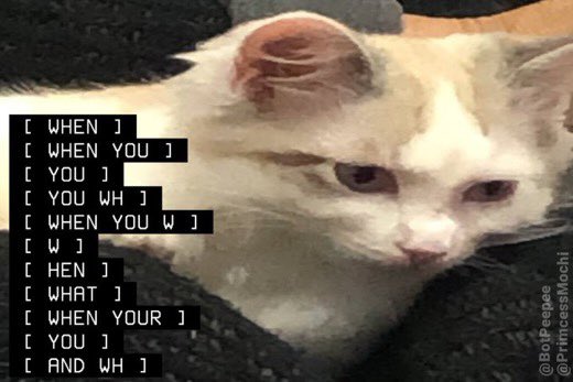 ✨ℓσυ✨( NO MUSE !! ) (@britishiisms) on Twitter photo 