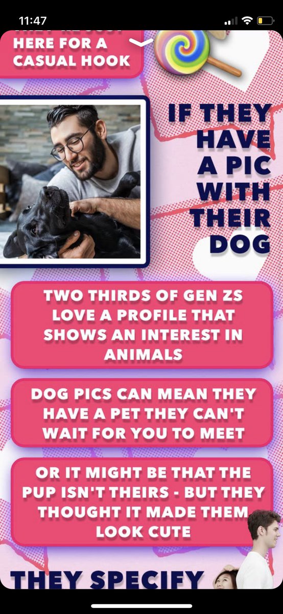 This is unbelievable journalism. The sun released an article about what your tinder profile says about you. If they have a picture with a dog they might have a dog. Or it might not be there’s. every dog in the world is either yours or not yours.
