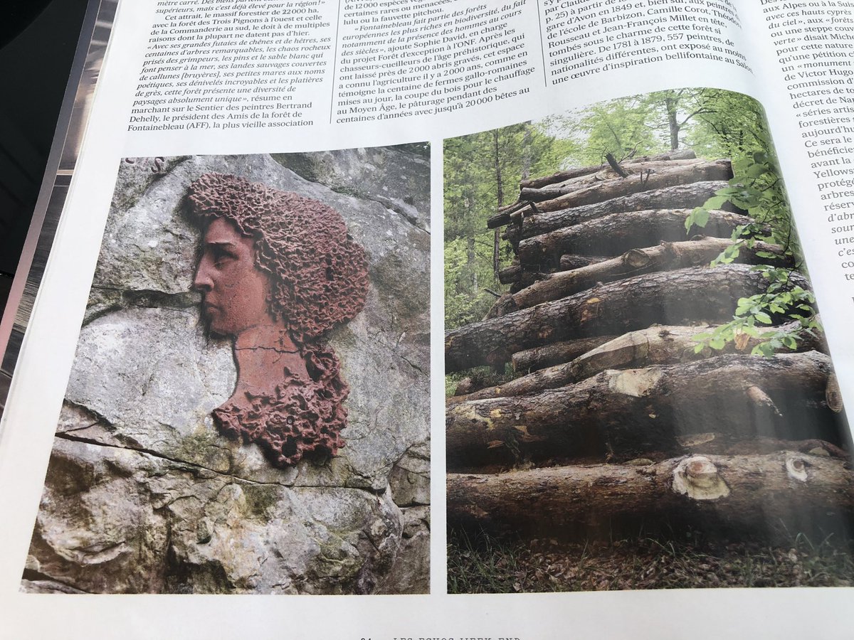 « Avec ses grandes futaies de chênes et de hêtres, les chaos rocheux prisés des grimpeurs, les pins et le sable blanc…, cette forêt présente une diversité de paysages absolument unique. » 
La forêt de Fontainebleau à l’honneur dans <a href="/LesEchosWeekEnd/">Les Echos Week-End</a> <a href="/fredvalletoux/">Frédéric Valletoux</a> <a href="/OTFbleau/">FontainebleauTourism</a>