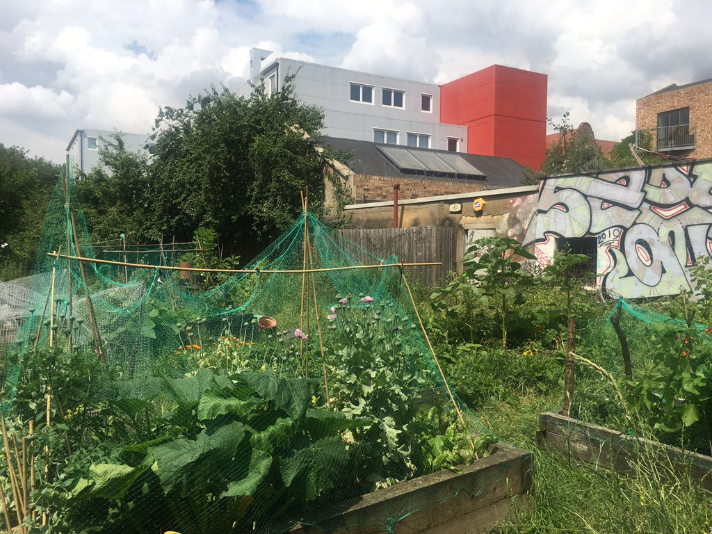 In addition to our much-loved #Hackney parks there are more than 60 community gardens, orchards and green spaces offering respite from busy streets and a chance to grow food and flowers.
