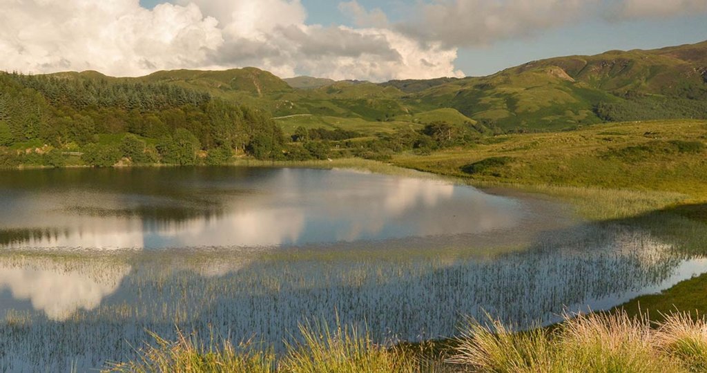 Fancy a spot of fishing during your stay with us?

#Flyfishing is available for a small charge on the beautiful Loch nan Druimnean.

We have a boat on the loch exclusively for guests &amp; basic tackle for hire. 

Find out more: Fishing-Argyll.co.uk
