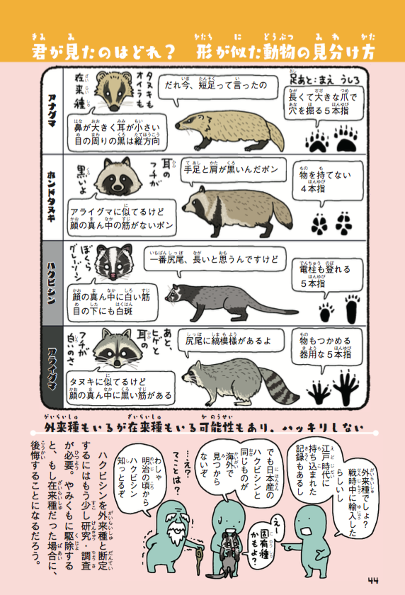 ちなみに、よく電線の上にいるのが目撃され「猫バス!」とか言われて、ツイッターに上がってるのはハクビシン。
https://t.co/czljiS998H 