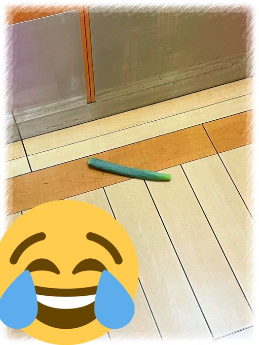 落し物のtwitterイラスト検索結果