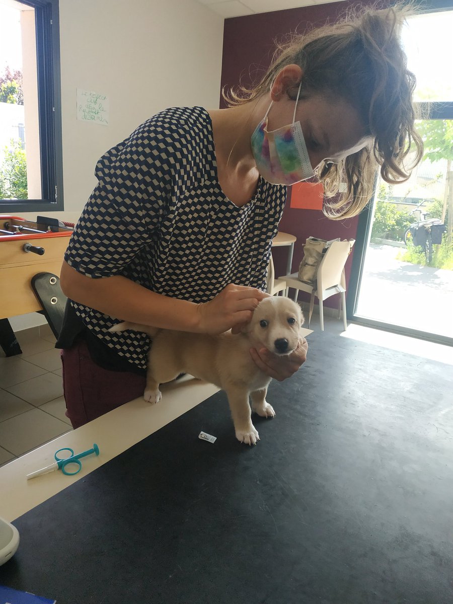 A Mâcon, avec la Docteure vétérinaire Berthier-Duboz 💉🐕