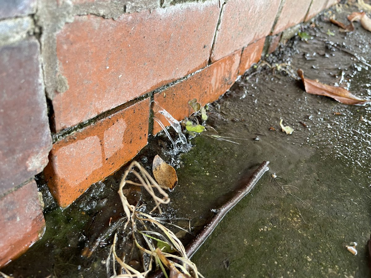 natysplat's tweet photo. @unitedutilities pipe leaking on BL9 looks like it’s pushing a retaining wall out right next to pedestrian footpath https://t.co/c0frA2nXFR