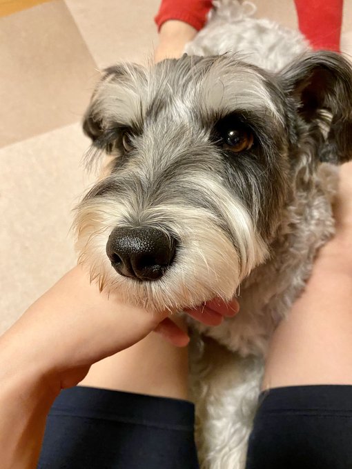 äžç·ã«ã颚åã¿ã€ã ã§ããðð
ãã¯ãã¯ã«ãªã£ãããðâš
ã飯ãé£ã¹ãŠãäžç·ã«æ¶Œã¿äžðð