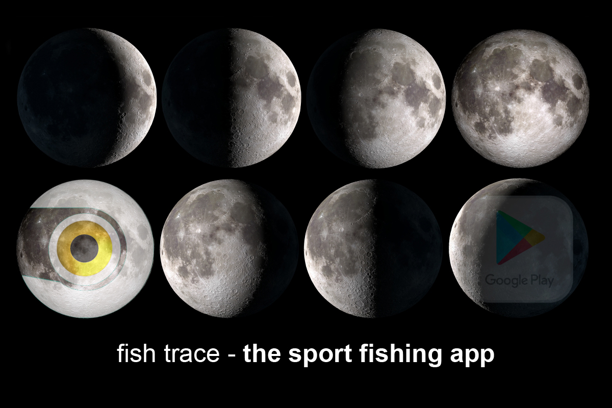 The fishing app with moonphase statistics #fishing #fishingapp fishtrace.info