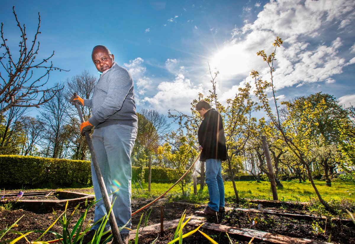 Op steeds meer plekken in Den Haag is men bezig met het verbouwen van eigen voedsel door middel van eetbare plantsoenen, buurttuinen, moestuinen, etc. Ook Elemam, Patricia en Jerney houden zich bezig met lokale voedselinitiatieven. hethaagsegroen.nl/groen+in+de+bu…