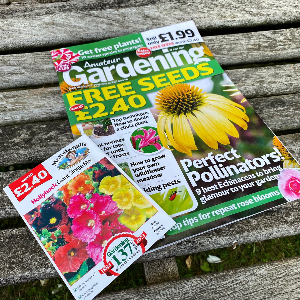 mrfothergill's tweet photo. There is still time to sow Hollyhocks this month, and you get a packet free with this week’s @TheAGTeam magazine👌🏻
https://t.co/yMvYFKxzyF
#sowingnow #hollyhocks #summerflowers #hardyperennials #summergarden #freeseed #gardeninglife #gardenjobs #flowergarden https://t.co/JUHwVlh3rc