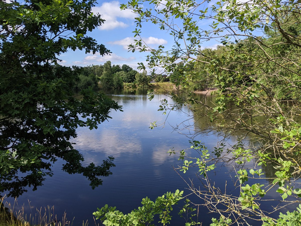 Looking through nature's window...