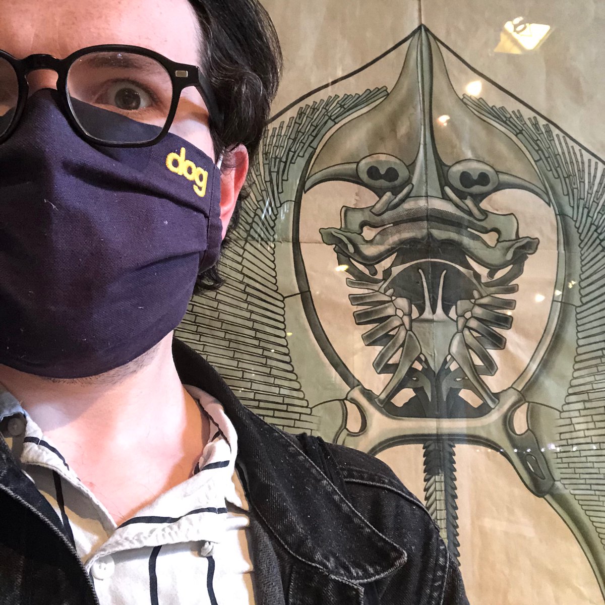 hello <a href="/CambFest/">CambridgeComedyFest</a> aka Cambridge Comedy Festival! you can see me today on the MAIN STAGE at 3.25pm, or later on the GLADE STAGE at 7.15pm. both are fine, no worries.