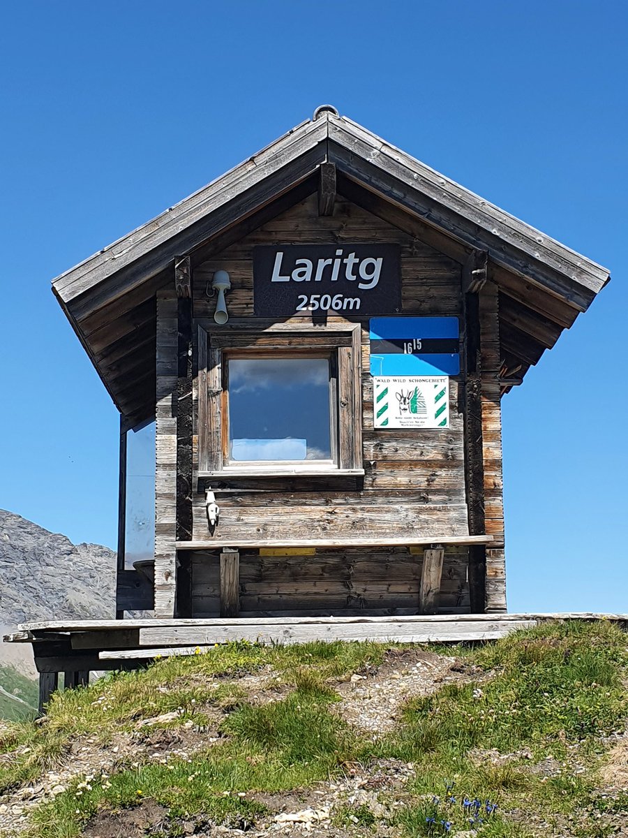 DerGeldexperte's tweet photo. #MTB #ValSurses #Graubünden #Schweiz https://t.co/U1gWSbd0Rx