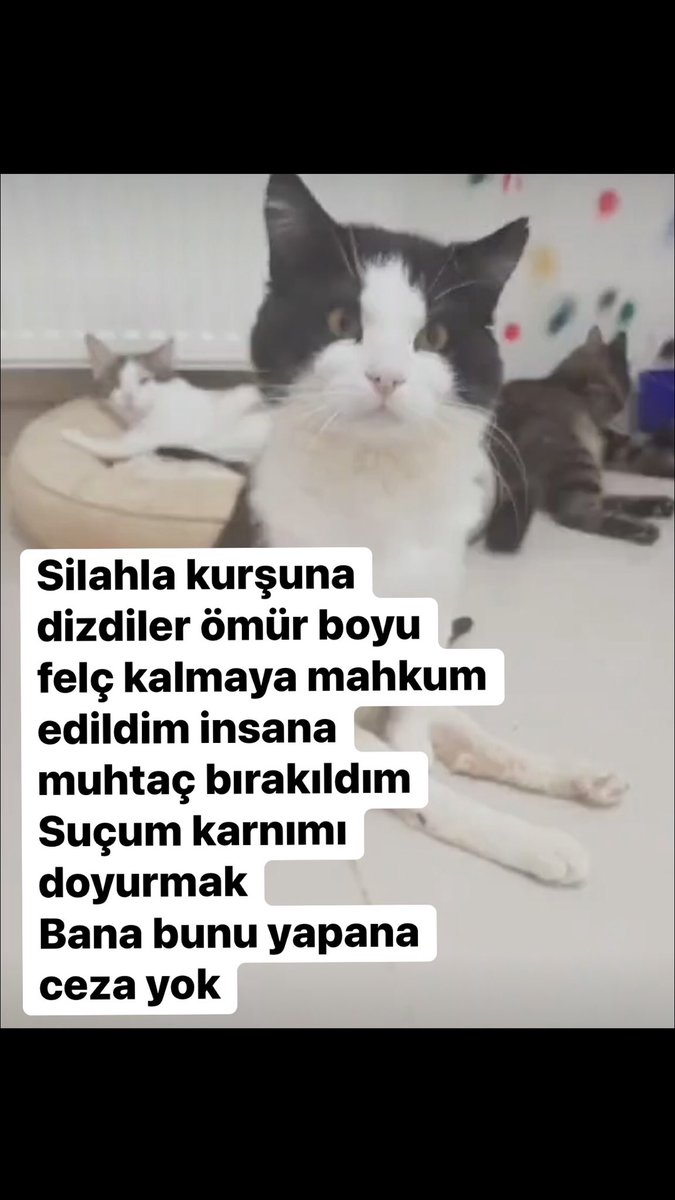 #YasatanYasaCıksın