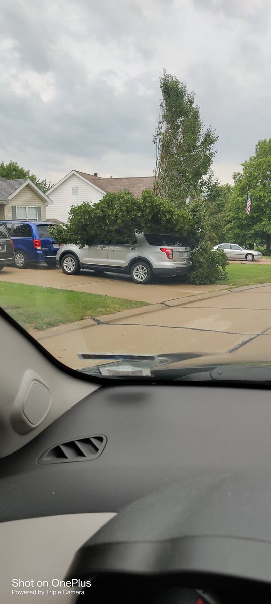 ShaneJones121's tweet photo. Bad news: tree in the front lawn fell down.

Good news: it's already loaded and ready to be hauled off.
#stlstorms https://t.co/GoowaciZRs
