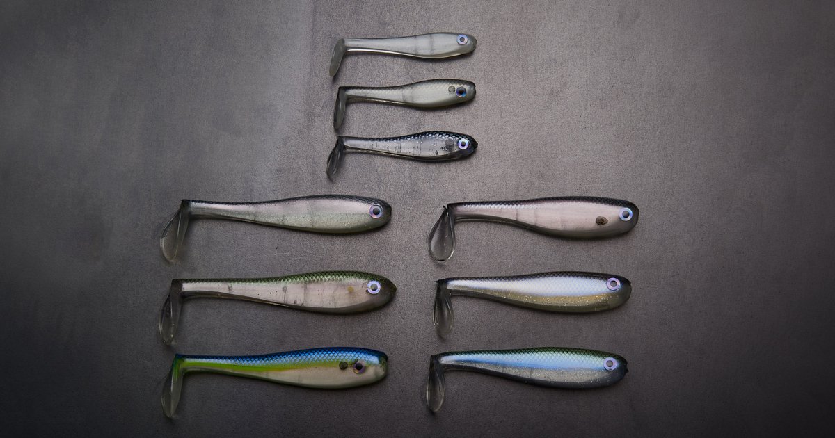 TackleWarehouse's tweet photo. Shop Now 👉 https://t.co/EhHIcc4Dy8
Offered in a range of sizes that appeal to tournament anglers and trophy hunters alike, the Basstrix Paddle Tail Swimbait’s profile matches a wide variety of forage and is effective in almost every fishery.
#TackleWarehouse | #Basstrix https://t.co/HseEBMZQku