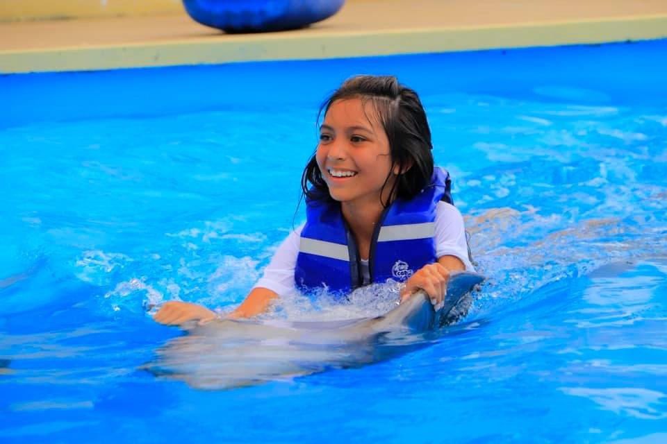 vicki_vo's tweet photo. E loved her dolphin #Cabo https://t.co/MPcuglUvhv