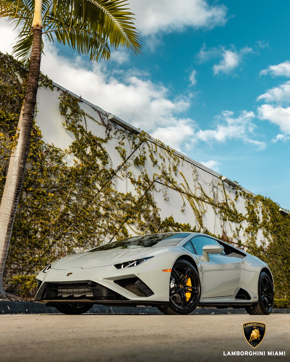 Lamborghini Miami tweet media