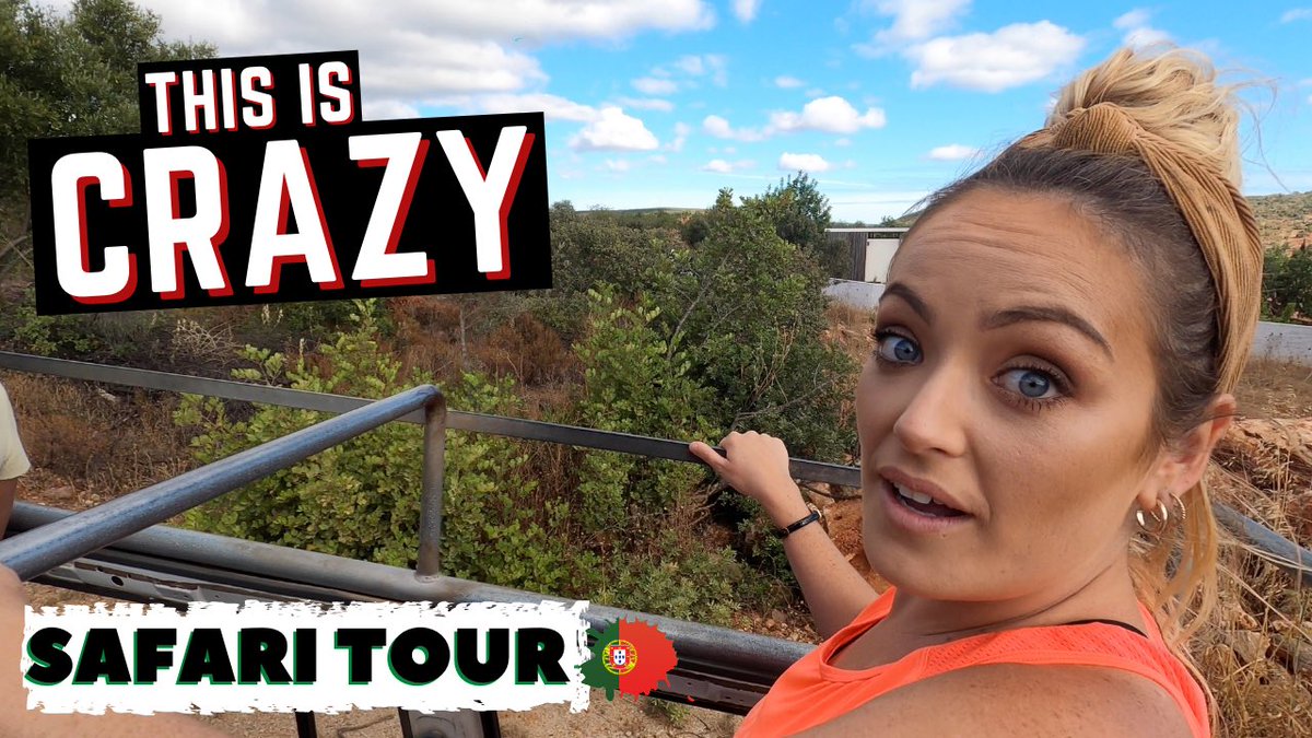 youtu.be/Ed_lCKmU2iU Absolute Madness in our latest Vlog! Insane Safari Tour in the Algarve. #gotimetravels #safari #visitportugal #algarve #travel #YouTuber #travel2021