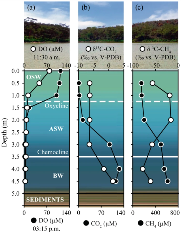Communications Biology (@commsbio) on Twitter photo Fazi and <a href="/samalfi/">Stefano Amalfitano</a> et al. report on an extraordinarily high biogenic methane concentration detected in the surface water of Lake Sonachi, Kenya. nature.com/articles/s4200… Fazi and <a href="/samalfi/">Stefano Amalfitano</a> et al. report on an extraordinarily high biogenic methane concentration detected in the surface water of Lake Sonachi, Kenya. nature.com/articles/s4200…