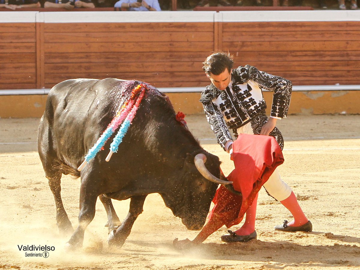 burladerotv's tweet photo. FESTEJOS.- SORIA.- Saluda ovación Juan Ortega en el tercero @tauroemocion @TorosSoria #RomanSorando @urdialesweb @EmiliodeJusto @juanortegapr @AlbertoGBuj @SentimientoTaur #AitorVian   https://t.co/7aX6iDG4Mw https://t.co/oCDJpsH8Wq