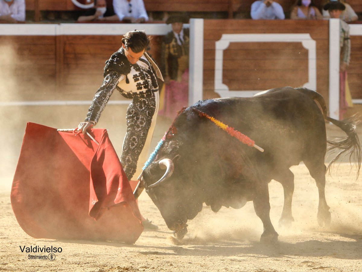 burladerotv's tweet photo. FESTEJOS.- SORIA.- Saluda ovación Juan Ortega en el tercero @tauroemocion @TorosSoria #RomanSorando @urdialesweb @EmiliodeJusto @juanortegapr @AlbertoGBuj @SentimientoTaur #AitorVian   https://t.co/7aX6iDG4Mw https://t.co/oCDJpsH8Wq
