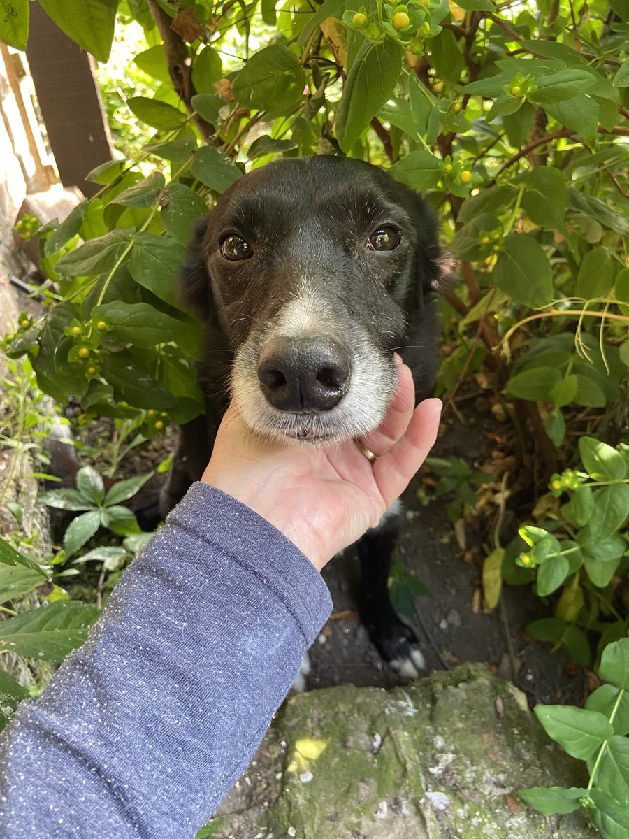 Graham & June Hall tweet media