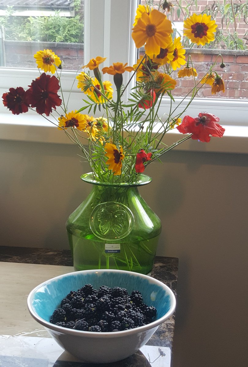 For 26 Shields, we’ve invited people who are shielding to share their stories. It’s a place for hard truths, quiet courage and small joys. V.M.R Macdonald leads with "Woodbine-Willie-esque" coughs and "Kintsugi Hearts" in a testament to hope and strength.

26.org.uk/26-shields/can…