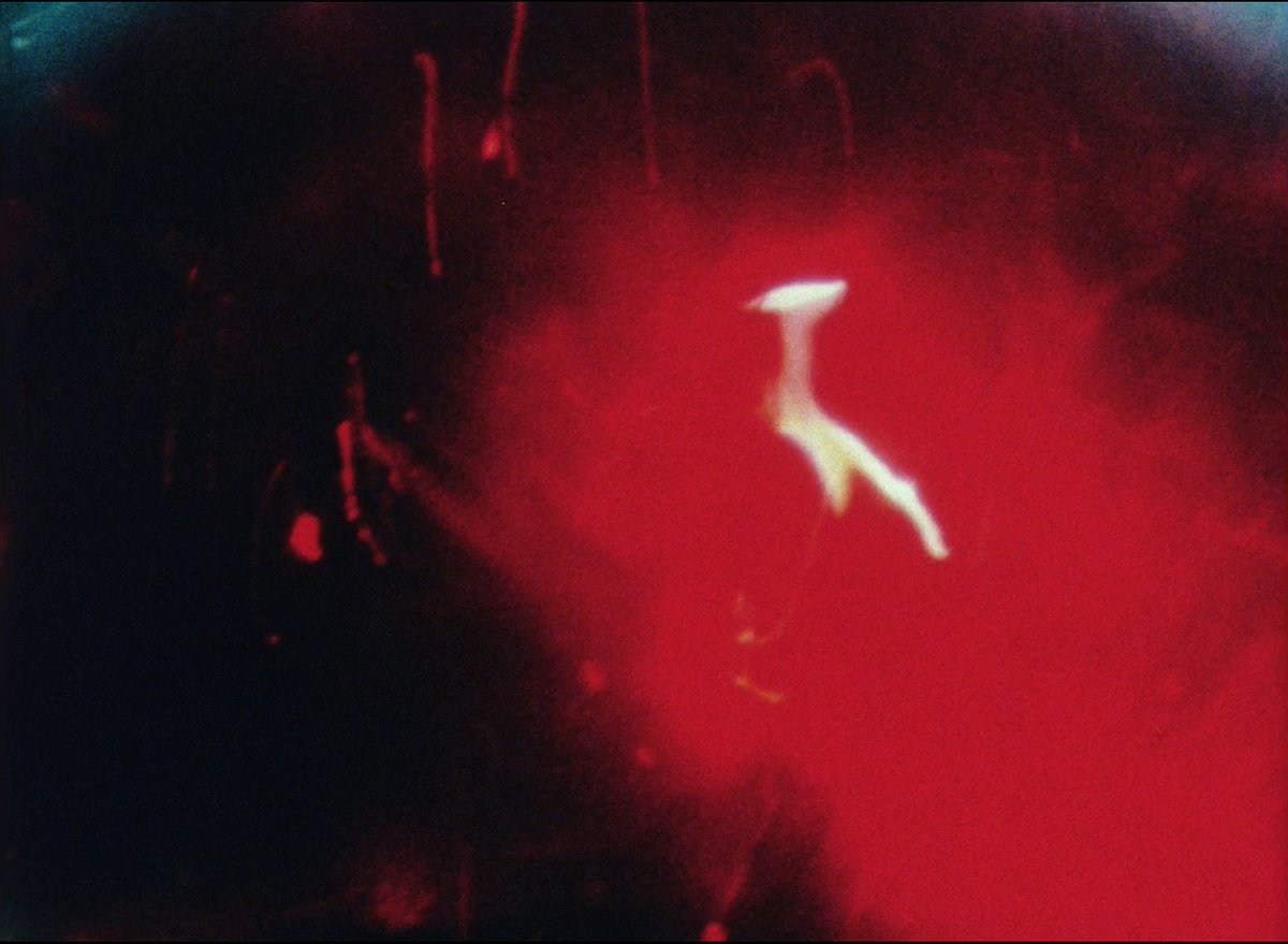 Lacrima Christi (Teo Hernández, 1980)