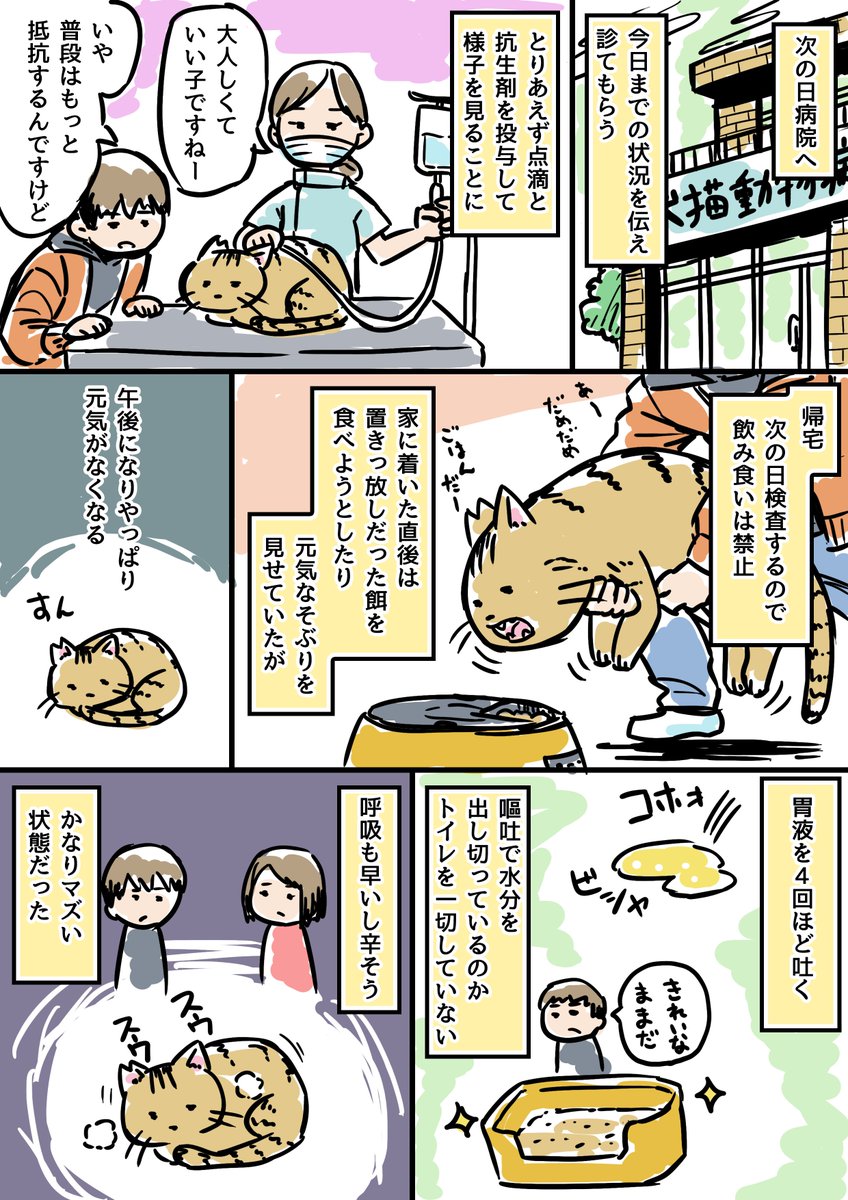 ウチの猫が病気になった その2 
