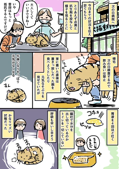 ウチの猫が病気になった その2 