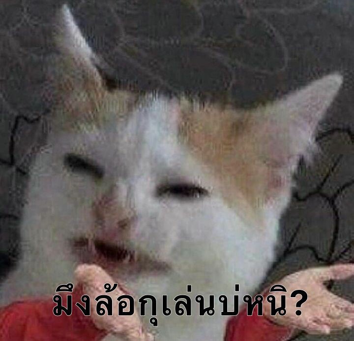 มดดำ: ไทยมีโอกาสติดเชื้อโควิดวันละหลักแสนไหมครับ?
หมอ: ไม่มีหรอกครับ เราตรวจได้วันละไม่เกิน 5 หมื่นคน 
กุ/