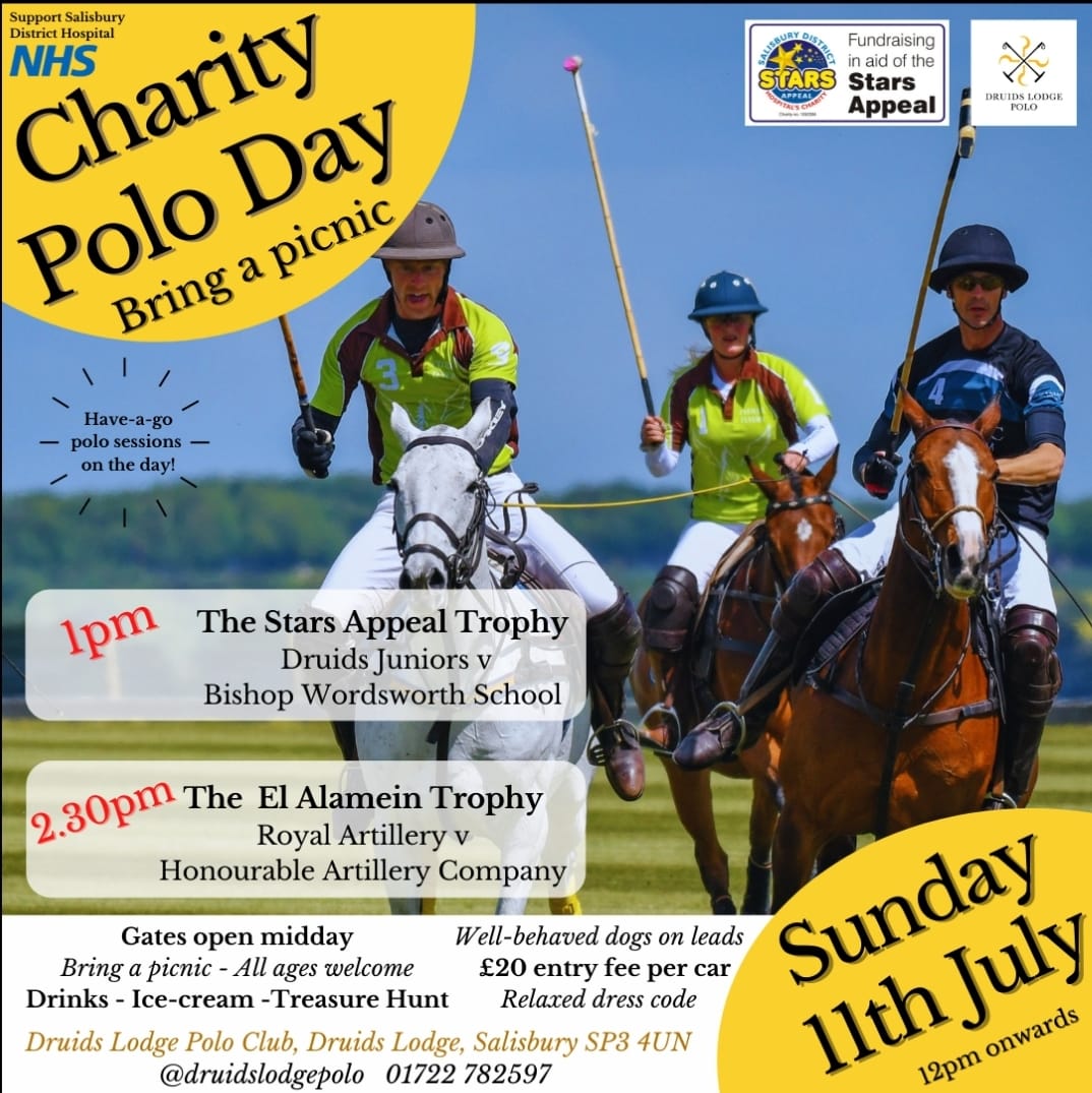 Looking for an opportunity to have a great day out, socially distanced and watch some #polo? Then grab a picnic and come along and enjoy the <a href="/HACRegiment/">HAC Regiment</a> Vs @rhqra at <a href="/DruidsPolo/">Druids Lodge Polo</a> <a href="/BritishArmyPolo/">British Army Polo</a> #SundayFunday
