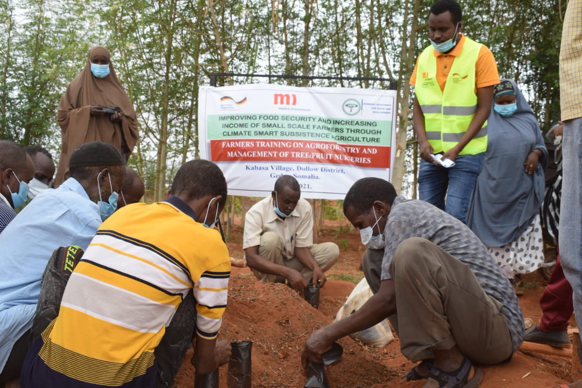 NAPADNGO's tweet photo. Farmers  practicing  agro-forestry, counter #foodinsecurity ,enhance crop production &amp; increase household income. @NAPADKE   @nothilfe &amp; @BMZ_Bund  under the #SEWOH project   trained 120 farmers  on Agro-Forestry &amp; management of fruit and  🌳 nursery in Kabasa village, Dollow https://t.co/BDugSHJnFp