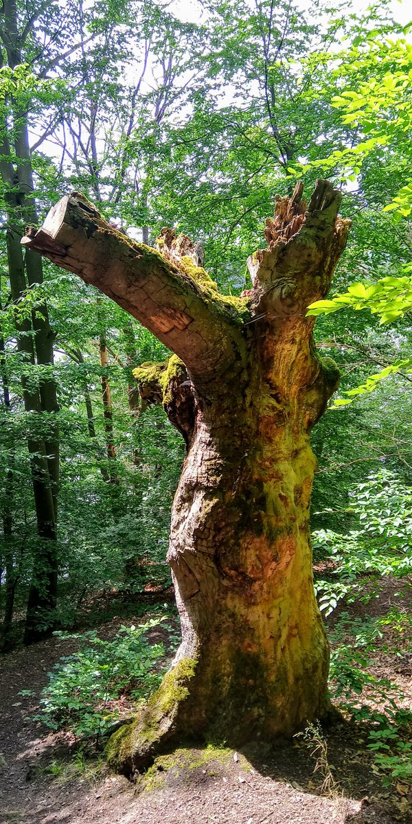 Impressionen vom Edersee. Tipp: Rundwanderung von Vöhl-Basdorf zur Halbinsel Scheid.