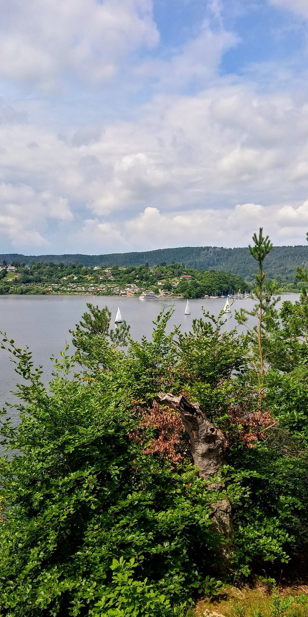 Wanderparadies Edersee. Rundwanderung Insel Scheid.