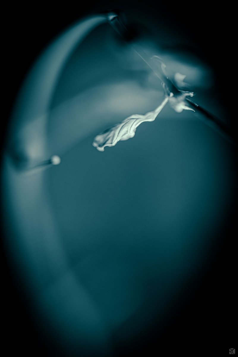 Regis CHUPIN (@chupinregis) on Twitter photo 