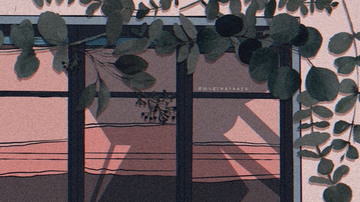 plant shadow solo no humans leaf window artist name  illustration images