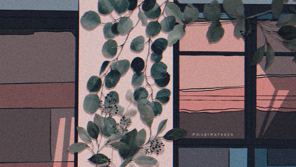 plant shadow solo no humans leaf window artist name  illustration images
